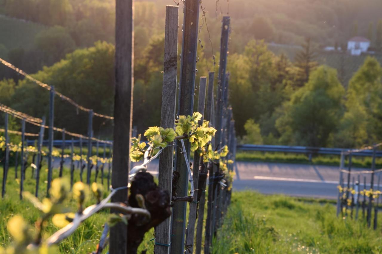 Weingut Und Gaestezimmer Perner Bed & Breakfast Ehrenhausen Dış mekan fotoğraf